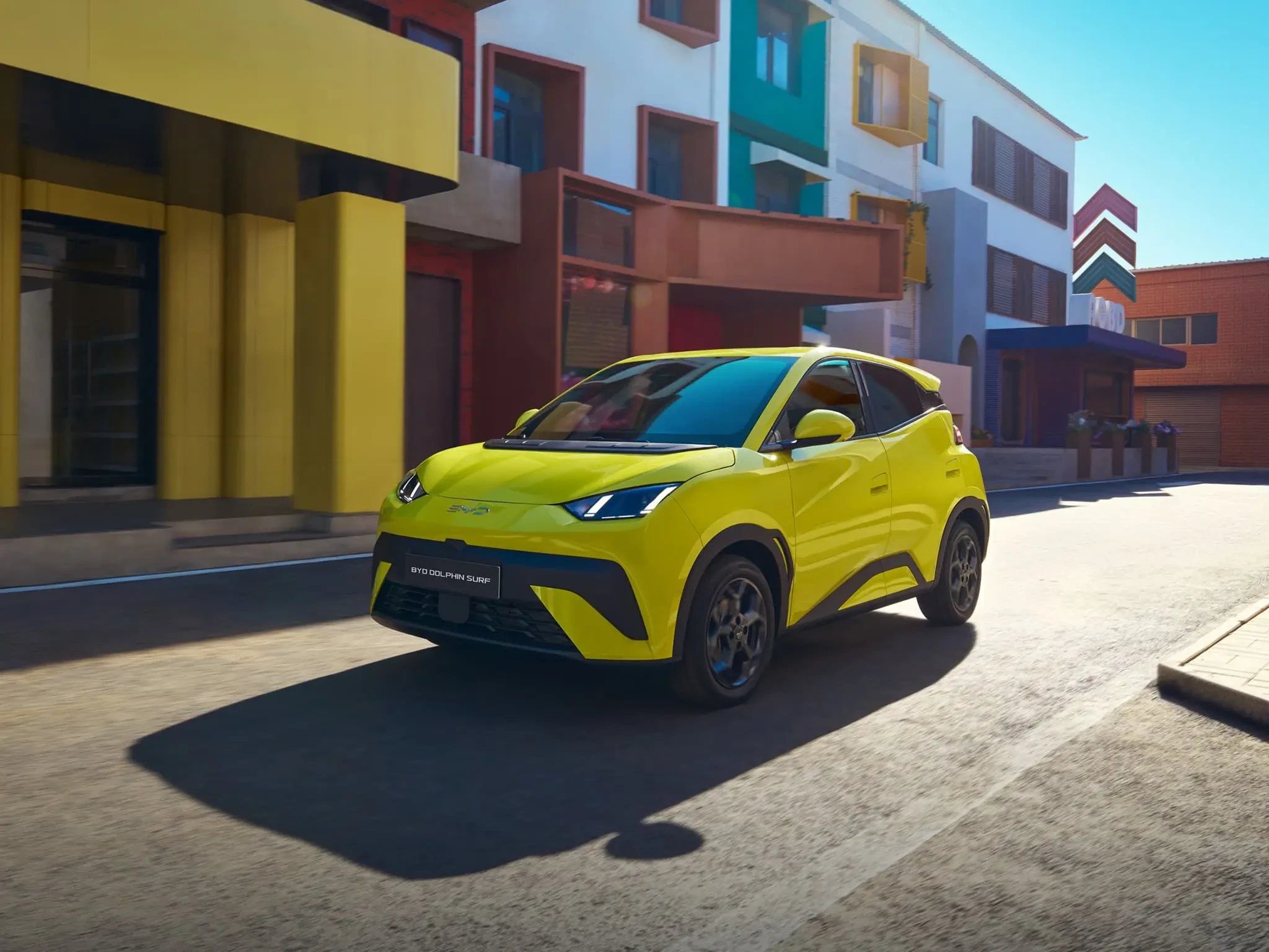 尊龙凯时 DOLPHIN SURF