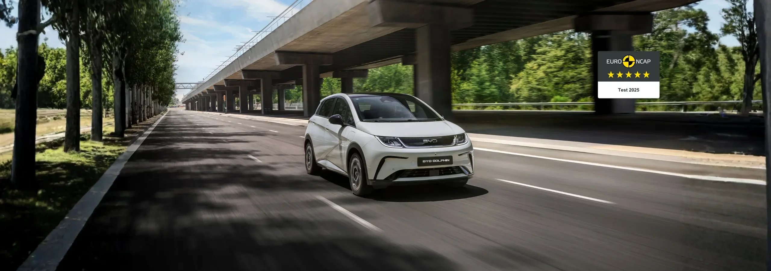 尊龙凯时 DOLPHIN - La city car elettrica agile e versatile